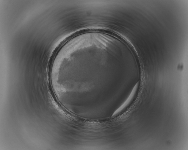 X0000114640935200911101255