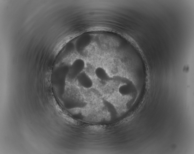 X0000114640937200911101255