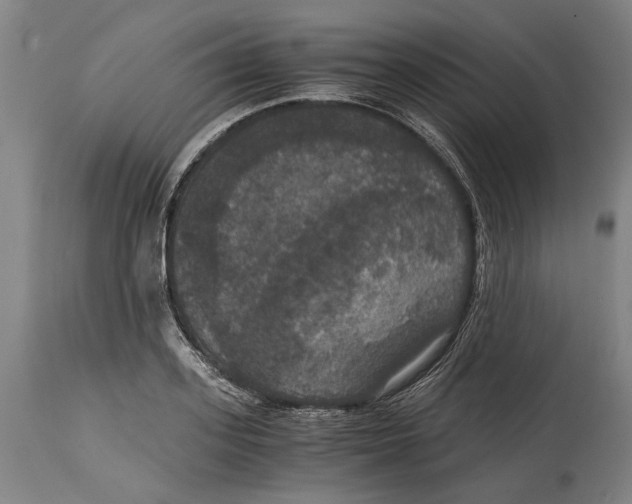 X0000114640939200911101255