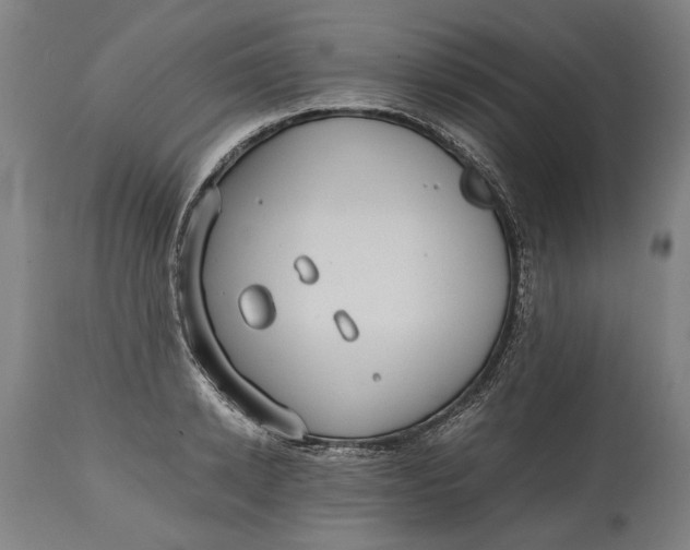X0000114640942200911101255