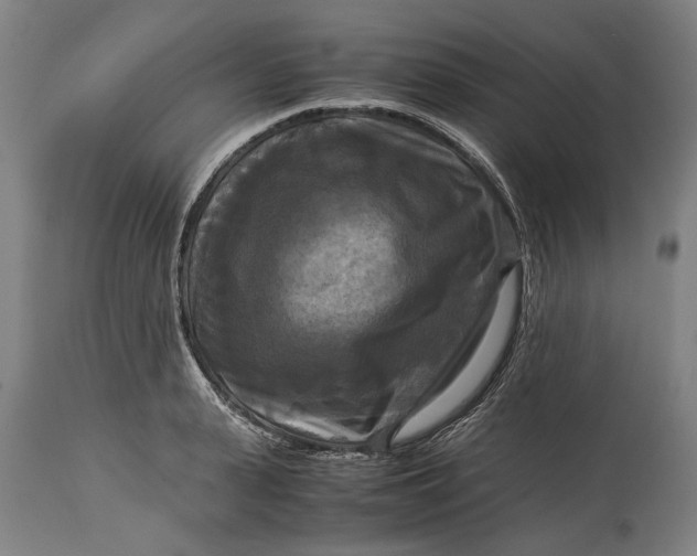 X0000114640943200911101255