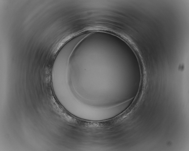 X0000114640945200911101255