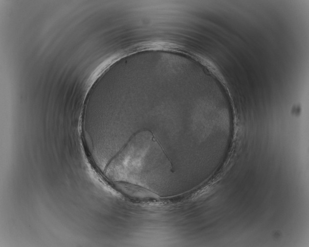 X0000114640946200911101255