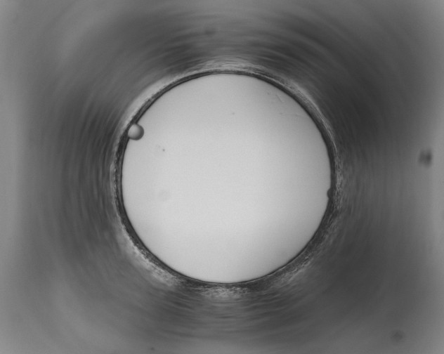 X0000114640947200911101255