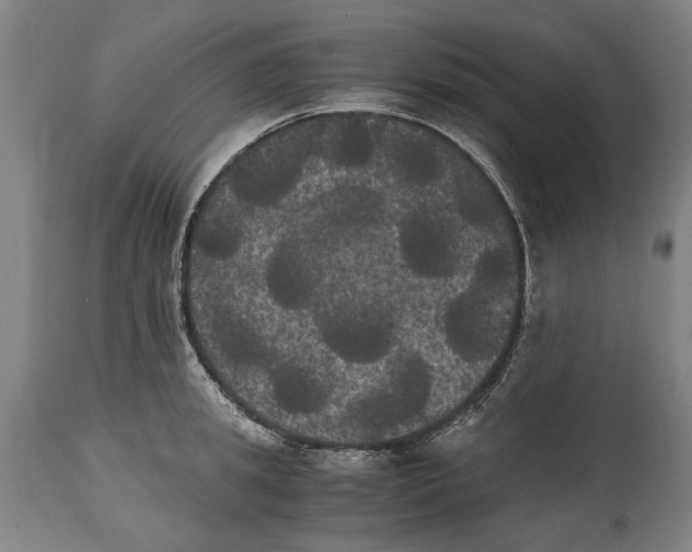X0000114640949200911101255