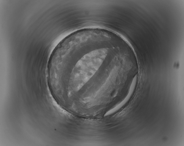 X0000114640951200911101255