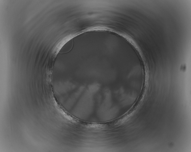 X0000114640953200911101255