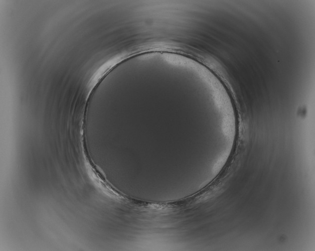 X0000114640954200911101255