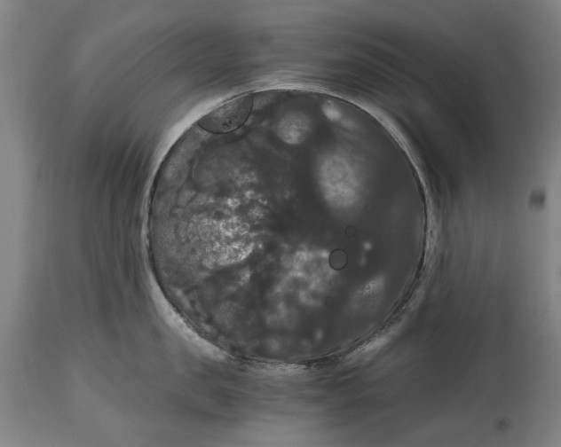 X0000114640957200911101255