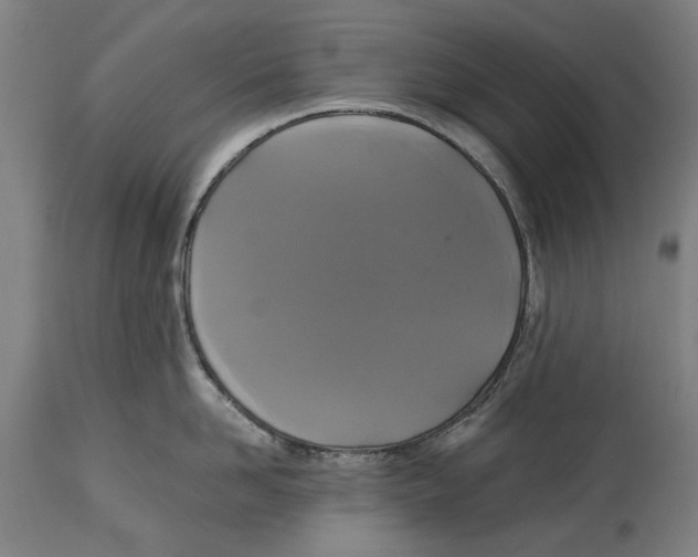 X0000114640958200911101255