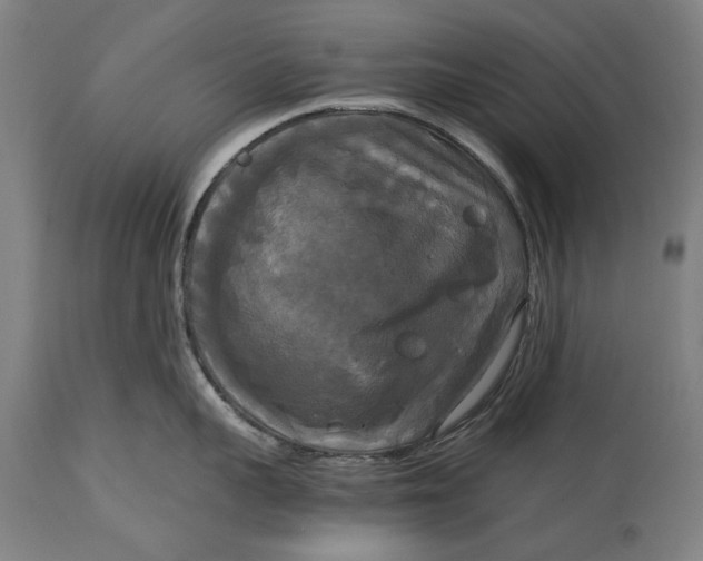 X0000114640959200911101255