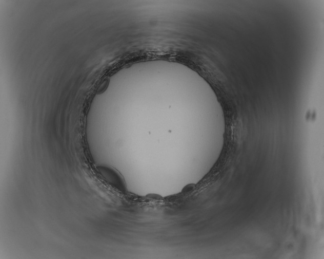 X0000114640961200911101254