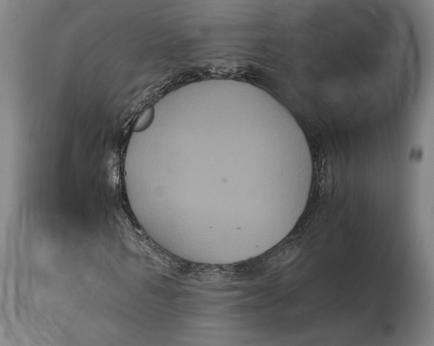X0000114640962200911101254