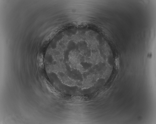 X0000114640963200911101254