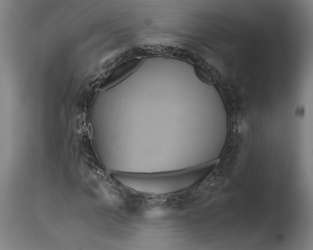 X0000114640965200911101254