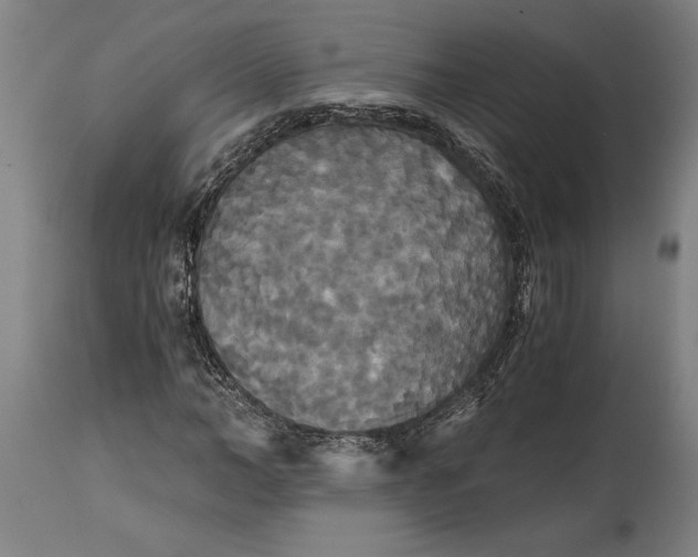 X0000114640966200911101254