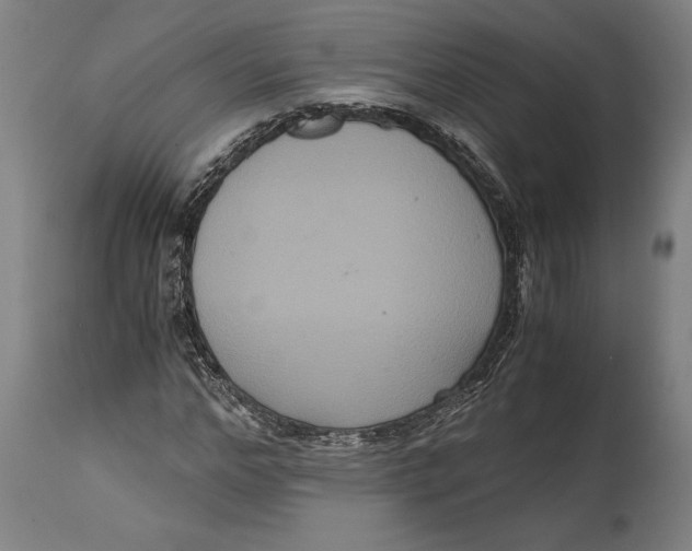 X0000114640968200911101254