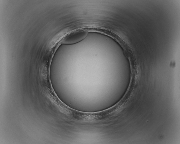 X0000114640969200911101254