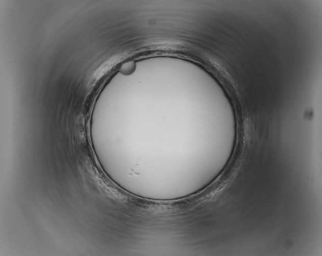 X0000114640970200911101254
