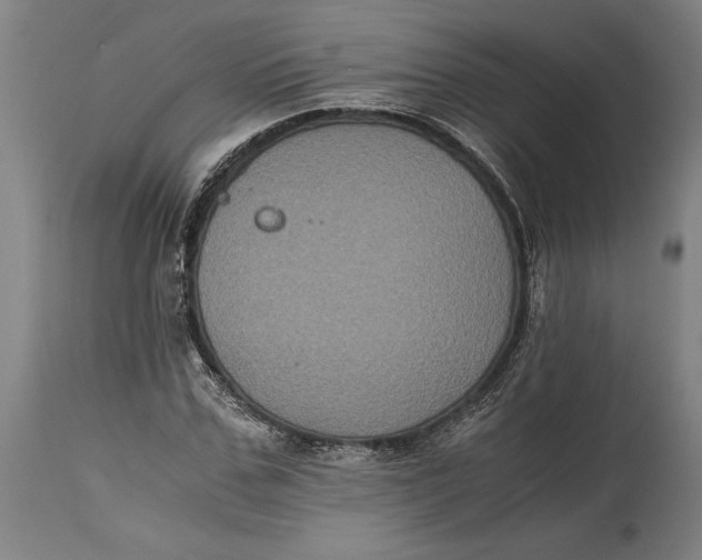 X0000114640971200911101254