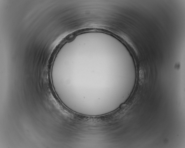 X0000114640972200911101254
