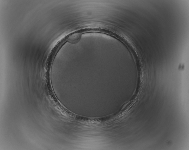 X0000114640975200911101254