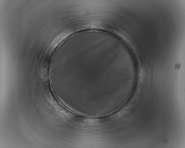 X0000114640977200911101254