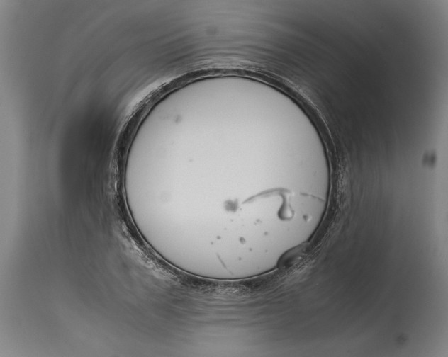 X0000114640979200911101254