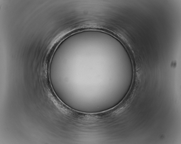 X0000114640981200911101254