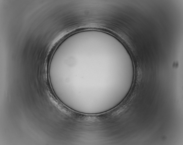 X0000114640982200911101254