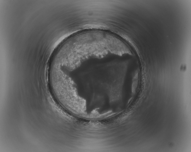 X0000114640983200911101254