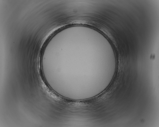 X0000114640984200911101254