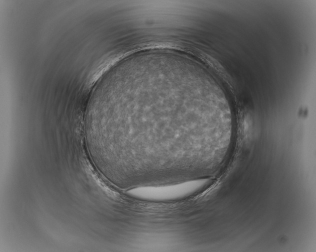 X0000114640985200911101254