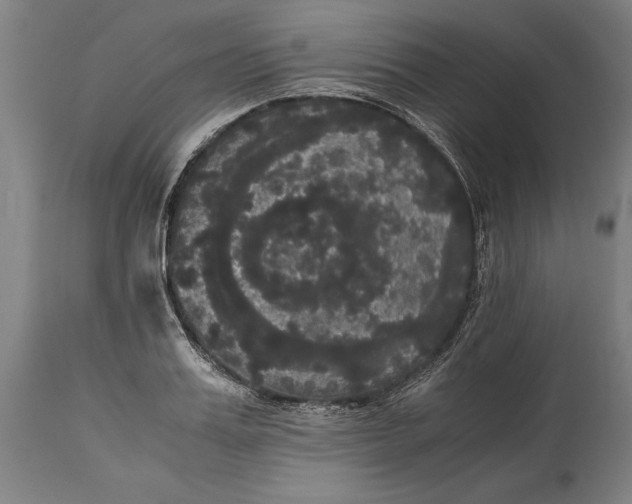 X0000114640987200911101254