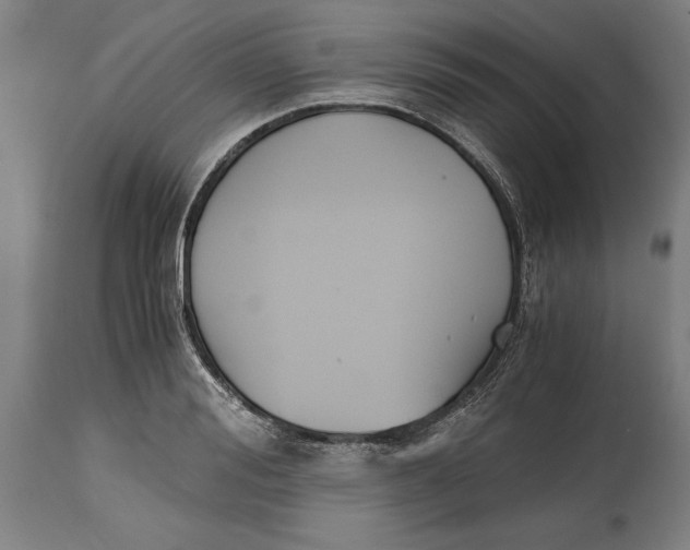 X0000114640988200911101254
