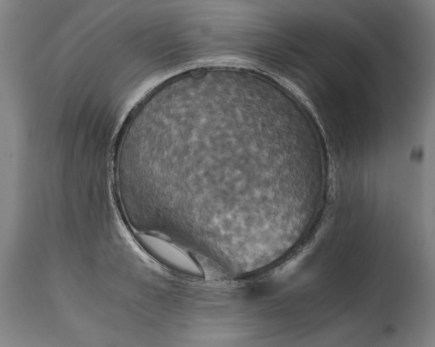 X0000114640989200911101254
