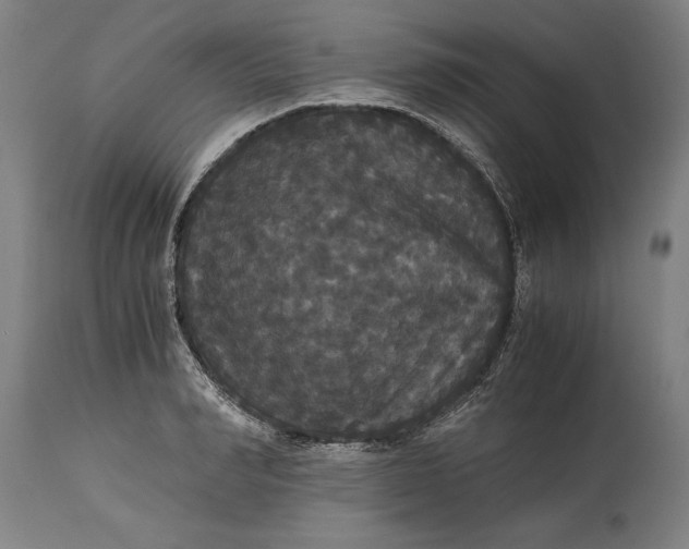 X0000114640990200911101254
