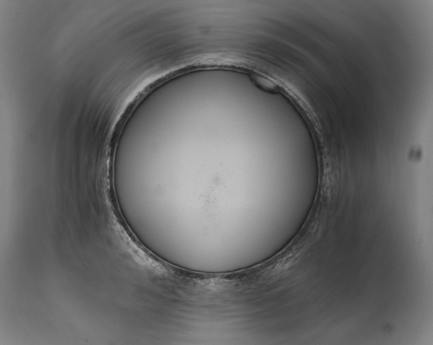 X0000114640992200911101254