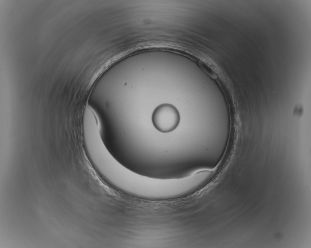 X0000114640993200911101254