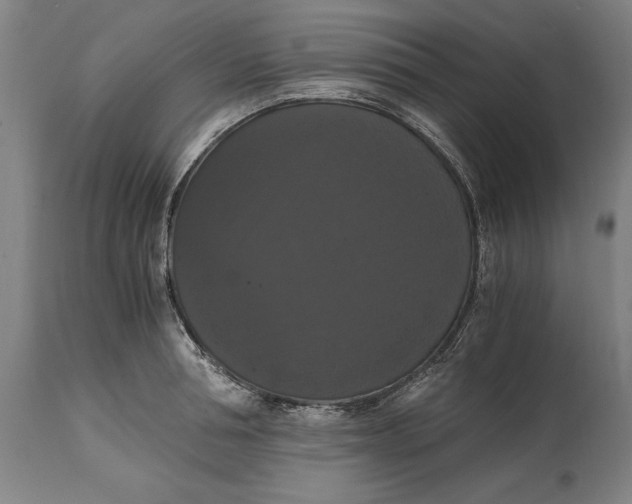 X0000114640994200911101254