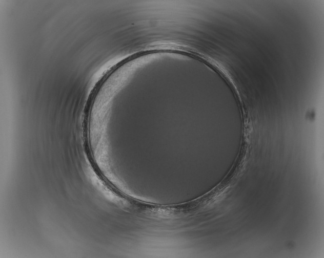 X0000114640995200911101254