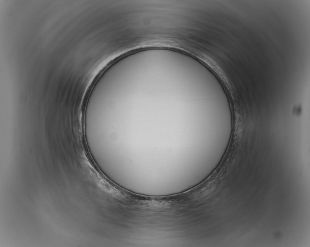 X0000114640996200911101254
