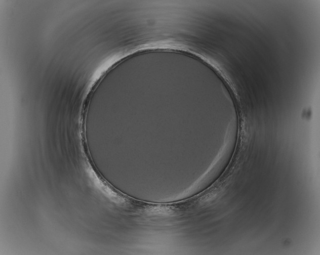 X0000114640998200911101254
