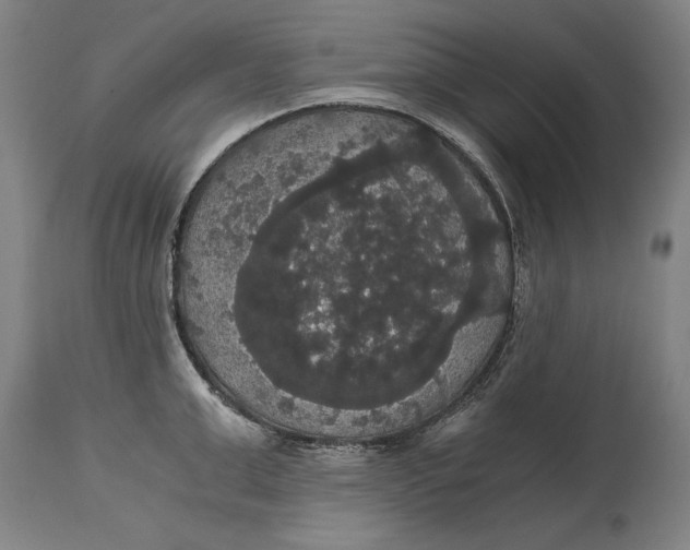 X0000114640999200911101254