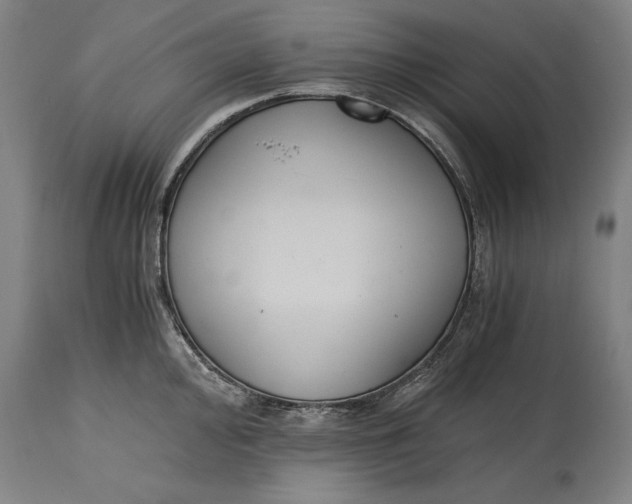 X0000114641000200911101254