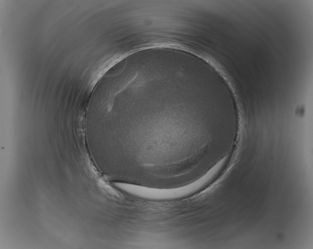 X0000114641001200911101254
