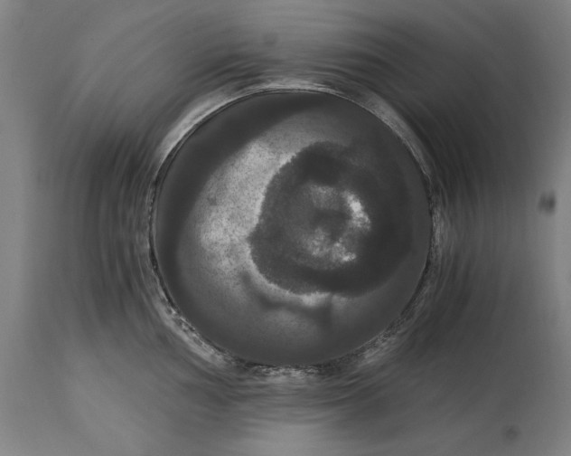 X0000114641002200911101254