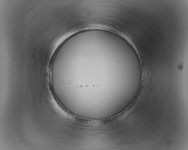 X0000114641003200911101254