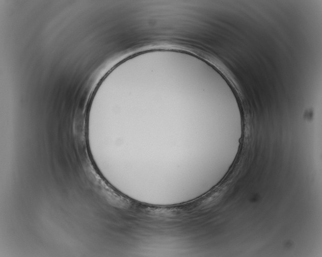 X0000114641004200911101254
