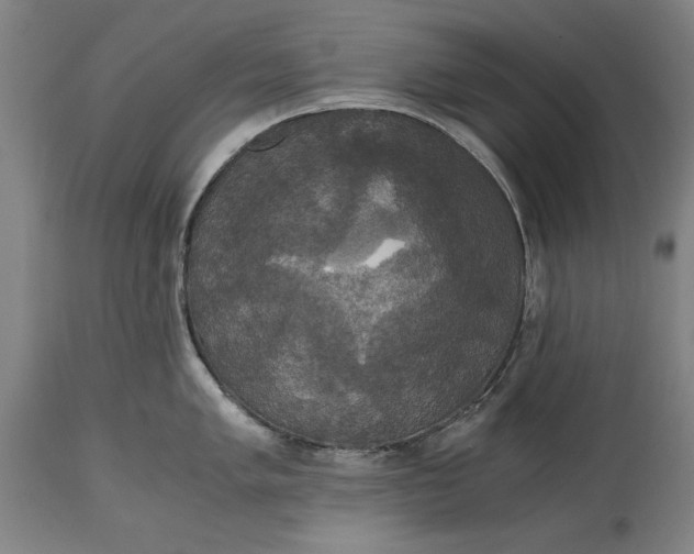 X0000114641005200911101254